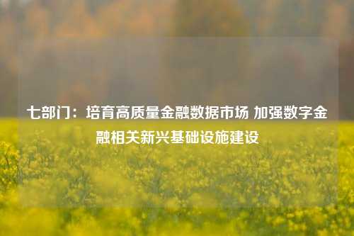 七部门：培育高质量金融数据市场 加强数字金融相关新兴基础设施建设