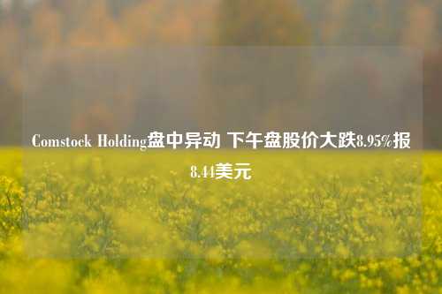 Comstock Holding盘中异动 下午盘股价大跌8.95%报8.44美元