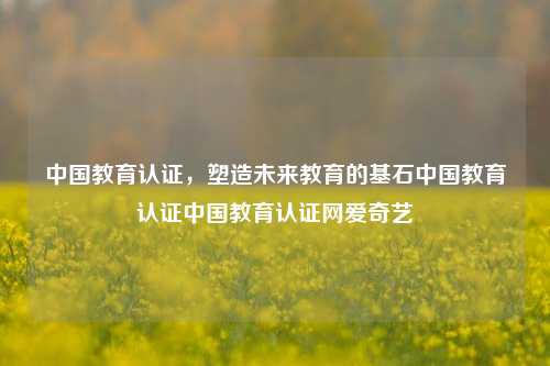 中国教育认证，塑造未来教育的基石中国教育认证中国教育认证网爱奇艺