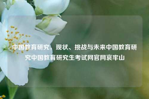 中国教育研究，现状、挑战与未来中国教育研究中国教育研究生考试网官网哀牢山