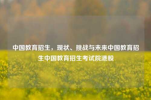 中国教育招生，现状、挑战与未来中国教育招生中国教育招生考试院港股