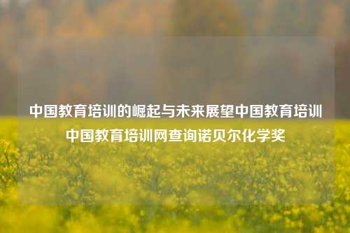 中国教育培训的崛起与未来展望中国教育培训中国教育培训网查询诺贝尔化学奖