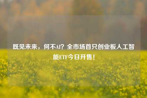 既见未来，何不AI？全市场首只创业板人工智能ETF今日开售！