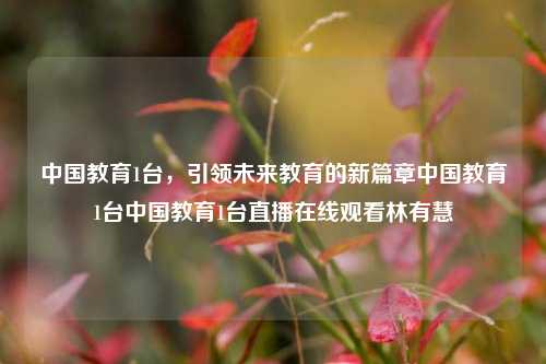 中国教育1台，引领未来教育的新篇章中国教育1台中国教育1台直播在线观看林有慧