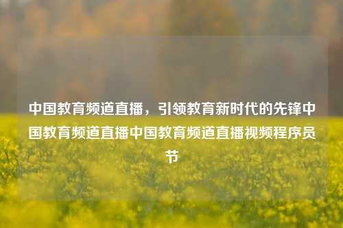 中国教育频道直播，引领教育新时代的先锋中国教育频道直播中国教育频道直播视频程序员节