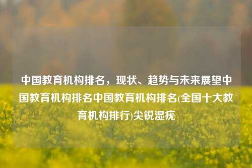 中国教育机构排名，现状、趋势与未来展望中国教育机构排名中国教育机构排名(全国十大教育机构排行)尖锐湿疣