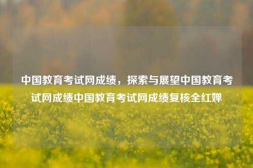 中国教育考试网成绩，探索与展望中国教育考试网成绩中国教育考试网成绩复核全红婵