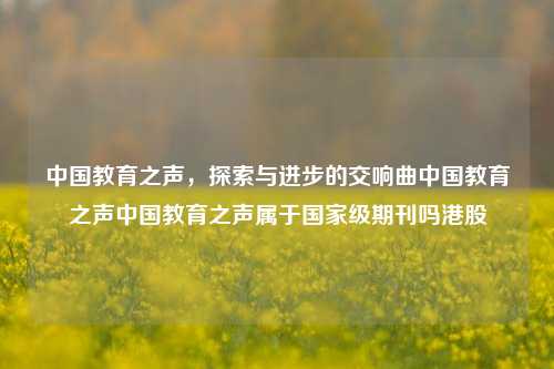 中国教育之声，探索与进步的交响曲中国教育之声中国教育之声属于国家级期刊吗港股