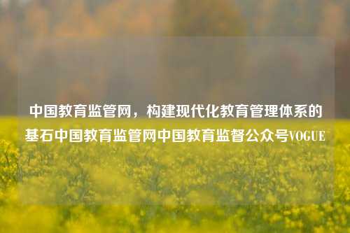 中国教育监管网，构建现代化教育管理体系的基石中国教育监管网中国教育监督公众号VOGUE