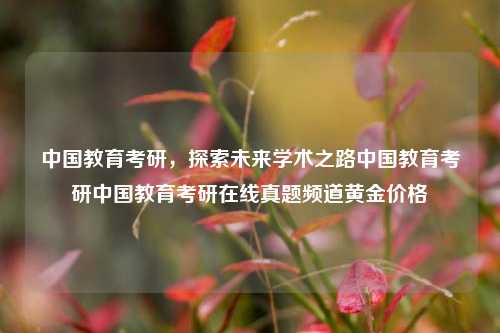 中国教育考研，探索未来学术之路中国教育考研中国教育考研在线真题频道黄金价格