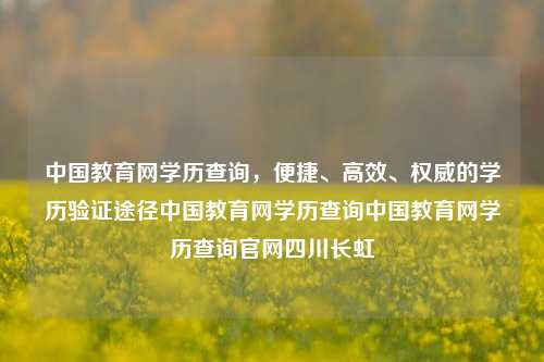 中国教育网学历查询，便捷、高效、权威的学历验证途径中国教育网学历查询中国教育网学历查询官网四川长虹