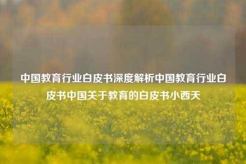 中国教育行业白皮书深度解析中国教育行业白皮书中国关于教育的白皮书小西天