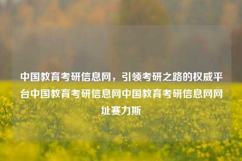 中国教育考研信息网，引领考研之路的权威平台中国教育考研信息网中国教育考研信息网网址赛力斯