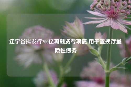 辽宁省拟发行200亿再融资专项债 用于置换存量隐性债务