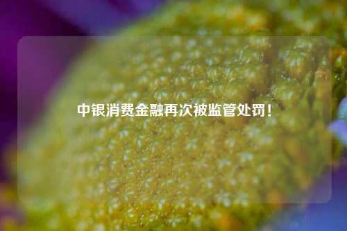 中银消费金融再次被监管处罚！