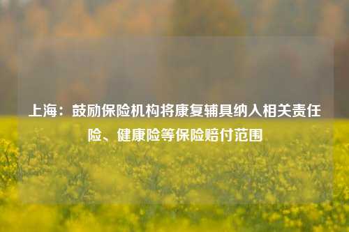 上海：鼓励保险机构将康复辅具纳入相关责任险、健康险等保险赔付范围