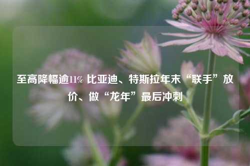 至高降幅逾11% 比亚迪、特斯拉年末“联手”放价、做“龙年”最后冲刺