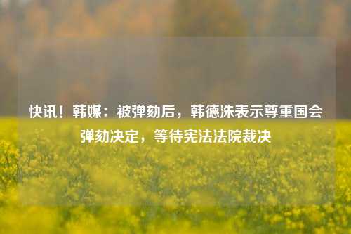 快讯！韩媒：被弹劾后，韩德洙表示尊重国会弹劾决定，等待宪法法院裁决