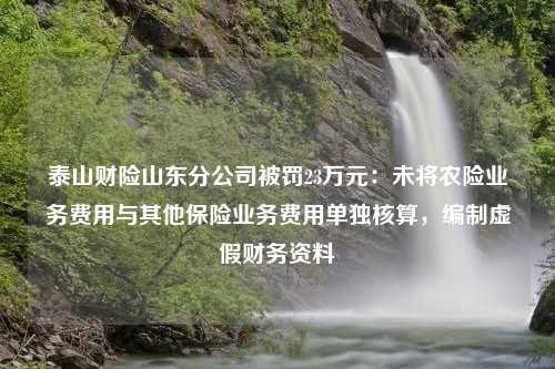 泰山财险山东分公司被罚23万元：未将农险业务费用与其他保险业务费用单独核算，编制虚假财务资料