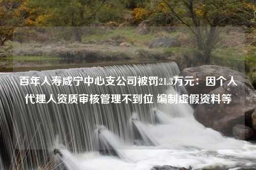 百年人寿咸宁中心支公司被罚21.3万元：因个人代理人资质审核管理不到位 编制虚假资料等