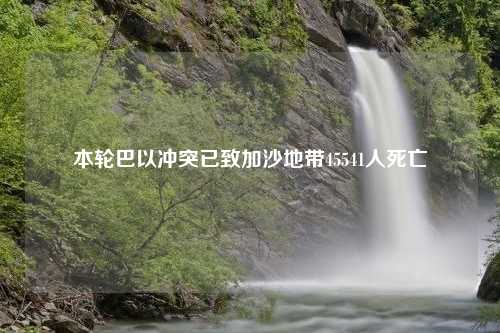 本轮巴以冲突已致加沙地带45541人死亡