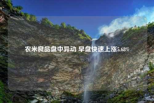 农米良品盘中异动 早盘快速上涨5.68%