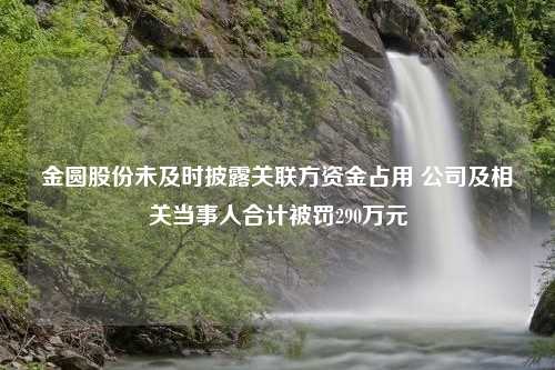 金圆股份未及时披露关联方资金占用 公司及相关当事人合计被罚290万元