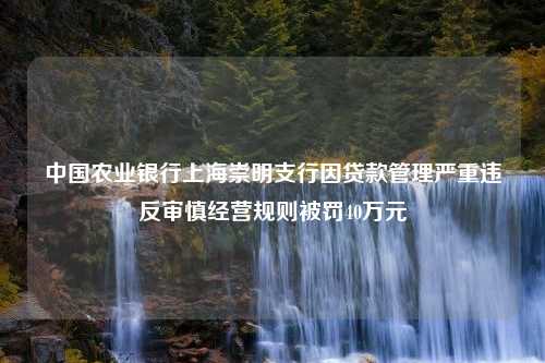 中国农业银行上海崇明支行因贷款管理严重违反审慎经营规则被罚40万元