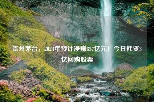 贵州茅台，2024年预计净赚857亿元！今日耗资3亿回购股票