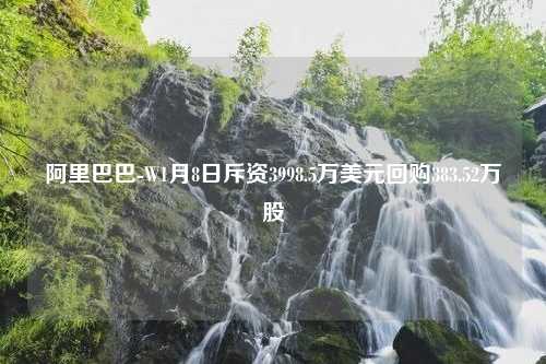 阿里巴巴-W1月8日斥资3998.5万美元回购383.52万股