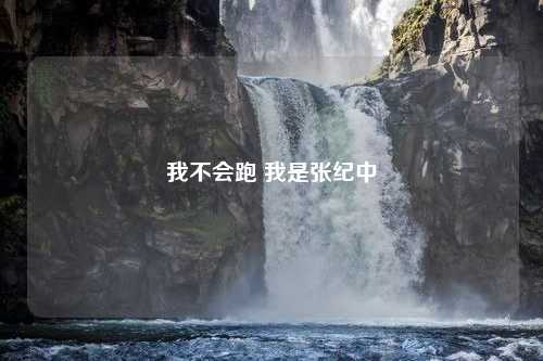 我不会跑 我是张纪中