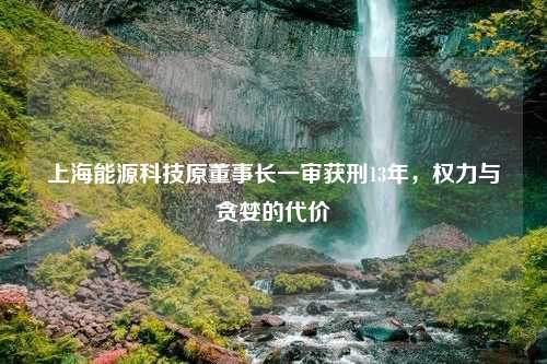 上海能源科技原董事长一审获刑13年，权力与贪婪的代价