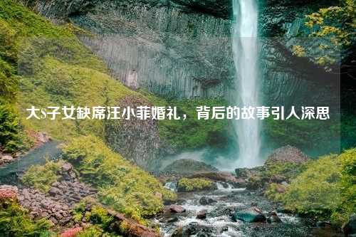 大S子女缺席汪小菲婚礼，背后的故事引人深思