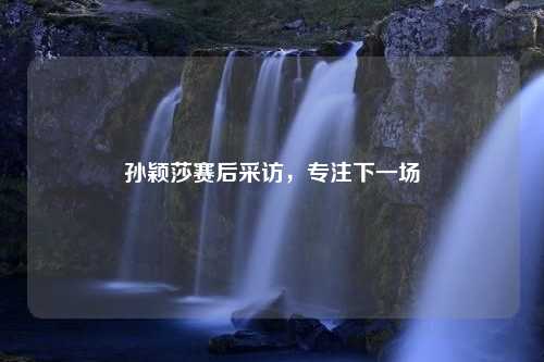 孙颖莎赛后采访，专注下一场