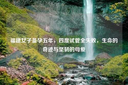 福建女子备孕五年，四度试管全失败，生命的奇迹与坚韧的母爱