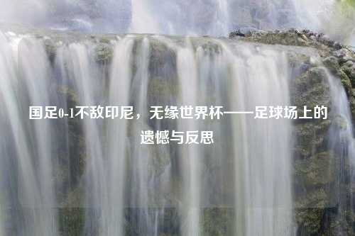 国足0-1不敌印尼，无缘世界杯——足球场上的遗憾与反思