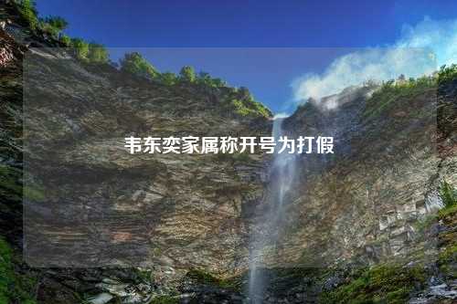 韦东奕家属称开号为打假