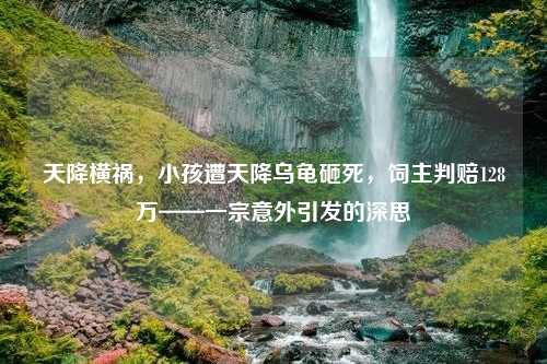 天降横祸,小孩遭天降乌龟砸死,饲主判赔128万——一宗意外引发的深思 天降横祸,小孩遭天降乌龟砸死,饲主判赔128万——一宗意外引发的深思