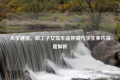 大学通报，职工子女驾车逼停骑行学生事件深度解析