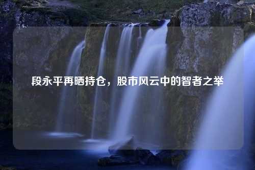 段永平再晒持仓，股市风云中的智者之举